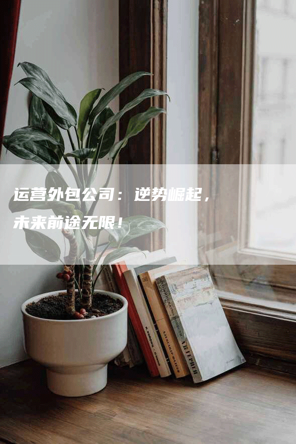 运营外包公司：逆势崛起，未来前途无限！