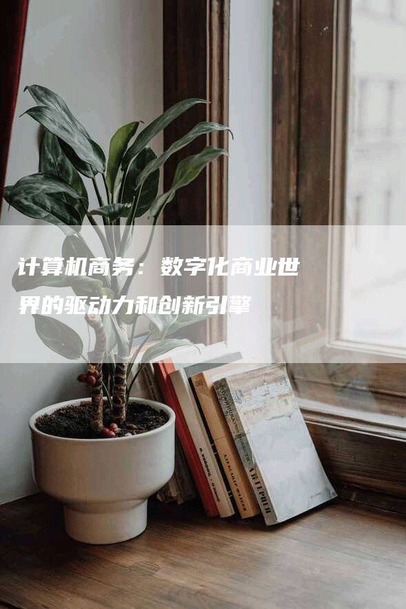 计算机商务：数字化商业世界的驱动力和创新引擎