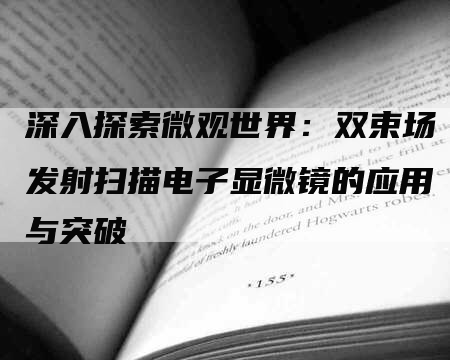 深入探索微观世界：双束场发射扫描电子显微镜的应用与突破