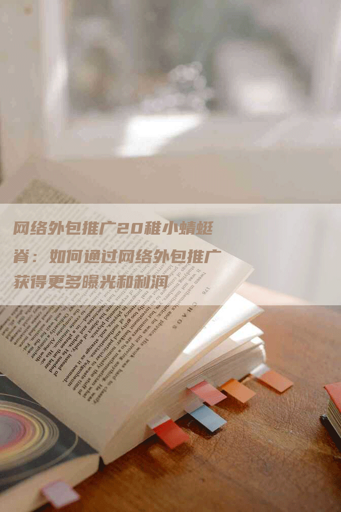 网络外包推广20稚小蜻蜓脊：如何通过网络外包推广获得更多曝光和利润