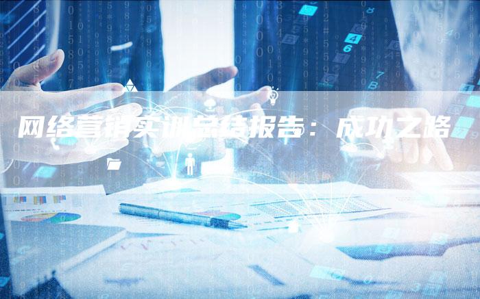 网络营销实训总结报告：成功之路