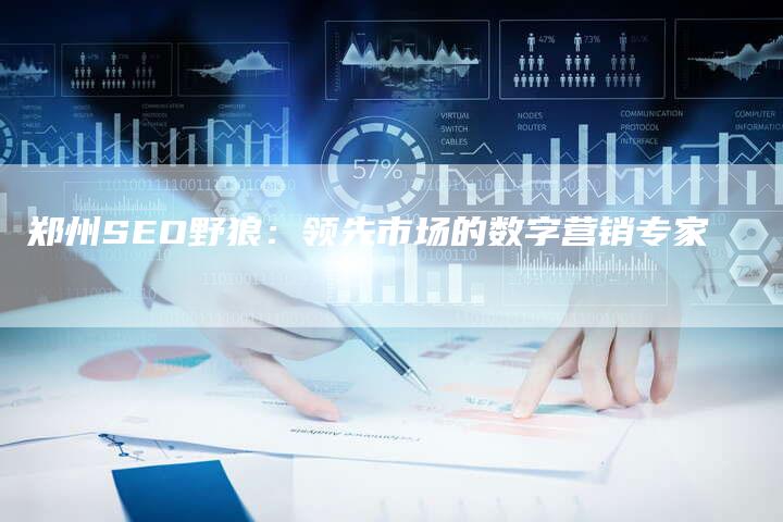 郑州SEO野狼：领先市场的数字营销专家