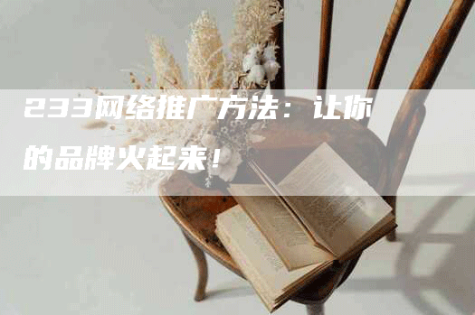 233网络推广方法：让你的品牌火起来！