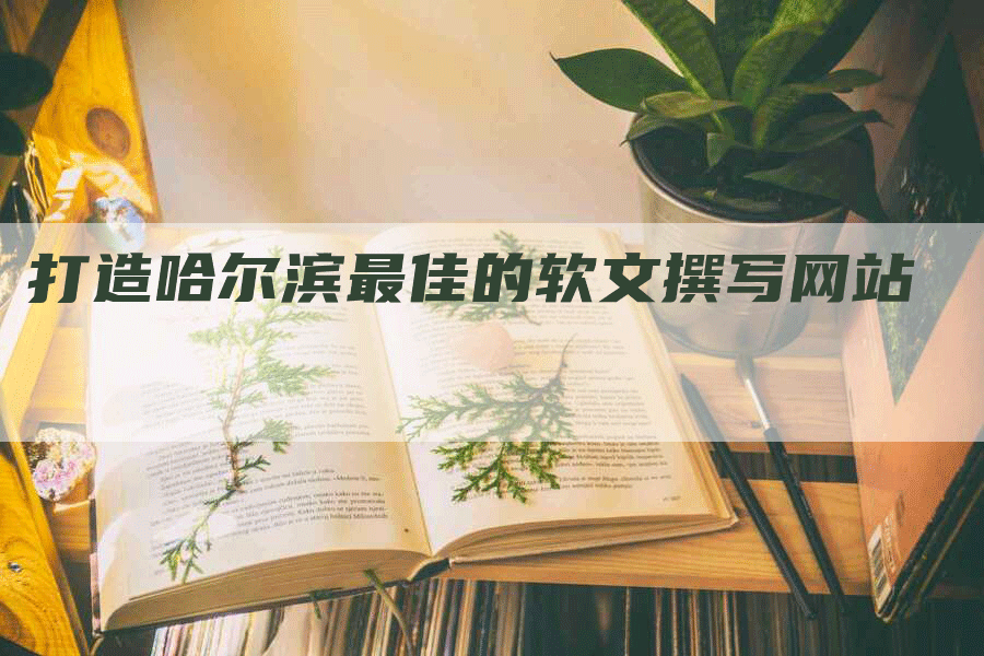 打造哈尔滨最佳的软文撰写网站