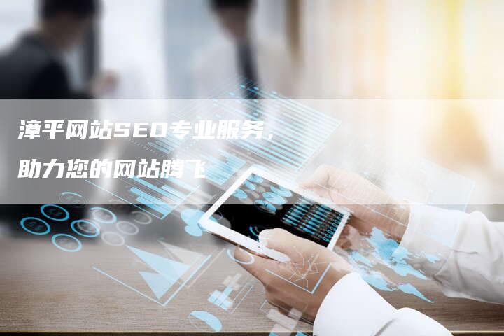 漳平网站SEO专业服务，助力您的网站腾飞