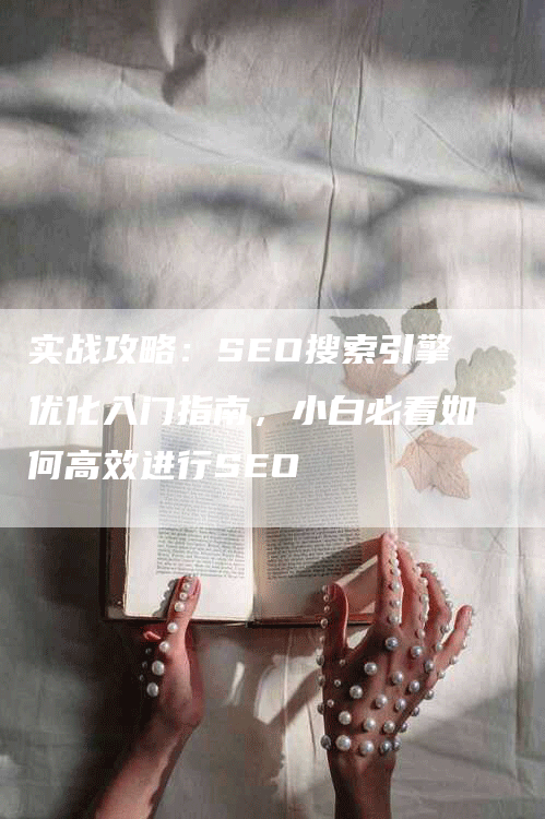 实战攻略：SEO搜索引擎优化入门指南，小白必看如何高效进行SEO