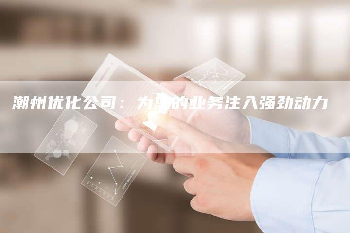 潮州优化公司：为您的业务注入强劲动力
