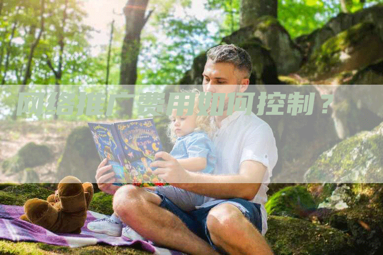 网络推广费用如何控制？