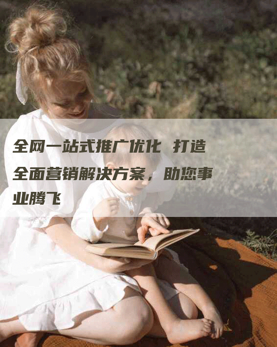 全网一站式推广优化 打造全面营销解决方案，助您事业腾飞