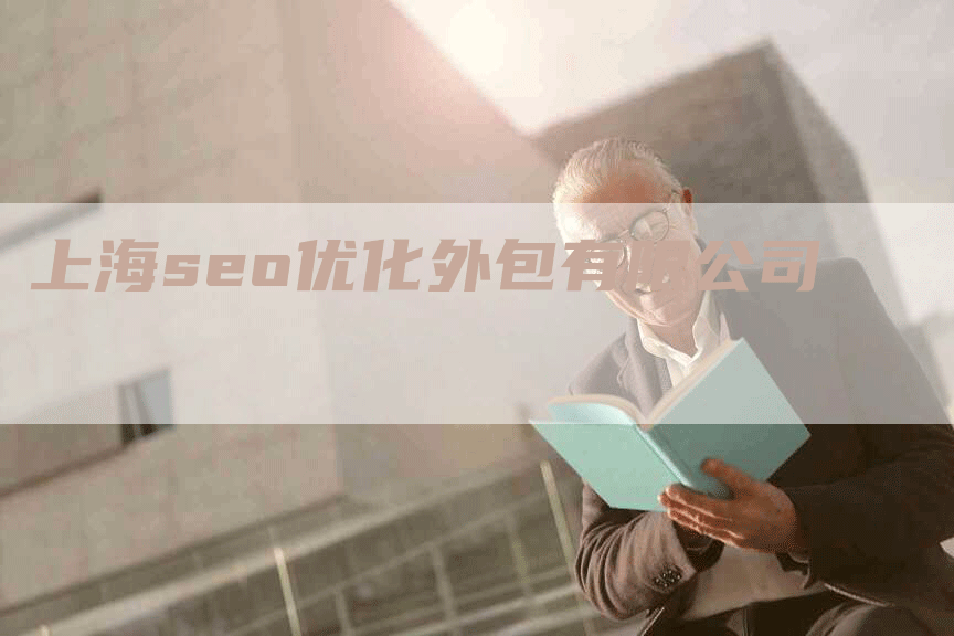 上海seo优化外包有限公司
