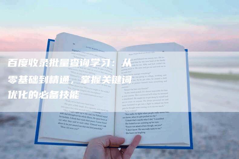 百度收录批量查询学习：从零基础到精通，掌握关键词优化的必备技能