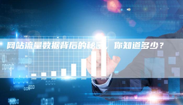 网站流量数据背后的秘密，你知道多少？