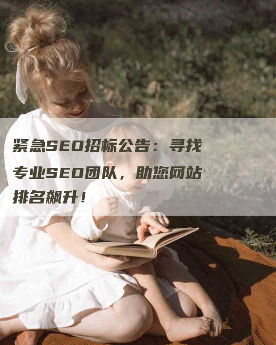 紧急SEO招标公告：寻找专业SEO团队，助您网站排名飙升！