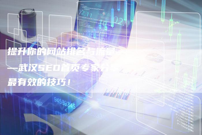 提升你的网站排名与流量——武汉SEO首页专家分享最有效的技巧！