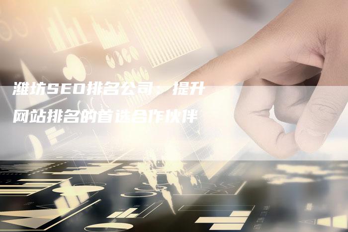 潍坊SEO排名公司：提升网站排名的首选合作伙伴