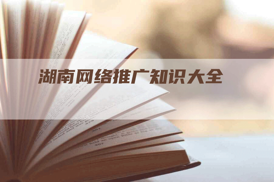 湖南网络推广知识大全