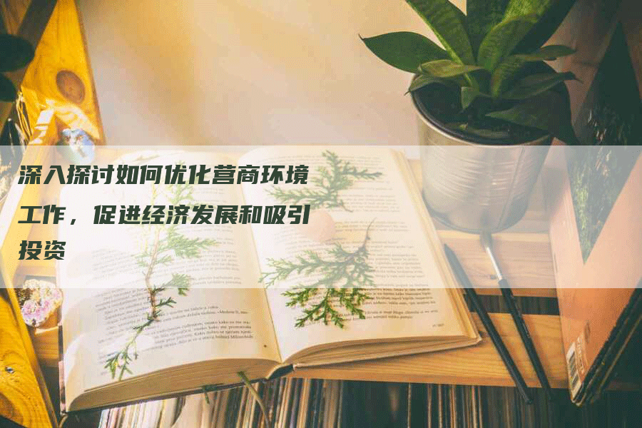 深入探讨如何优化营商环境工作，促进经济发展和吸引投资