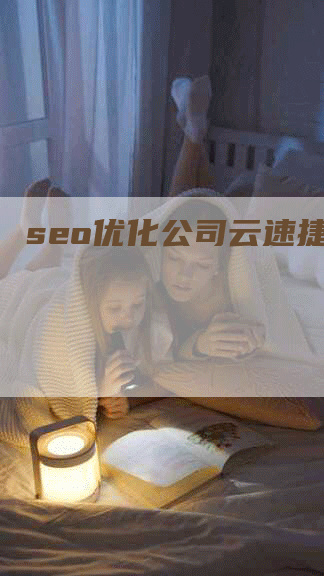 seo优化公司云速捷专业