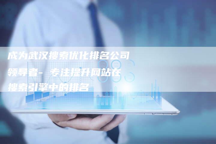 成为武汉搜索优化排名公司领导者- 专注提升网站在搜索引擎中的排名