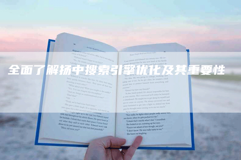 全面了解扬中搜索引擎优化及其重要性