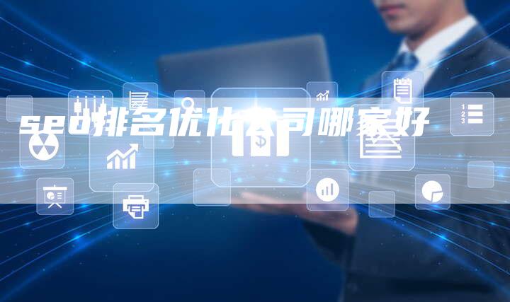 seo排名优化公司哪家好