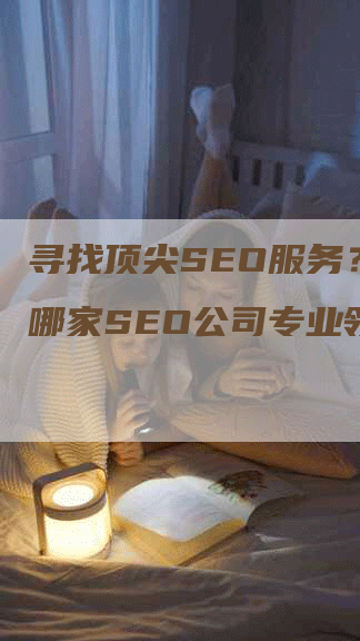 寻找顶尖SEO服务？揭秘哪家SEO公司专业领先