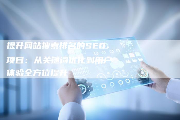 提升网站搜索排名的SEO项目：从关键词优化到用户体验全方位提升