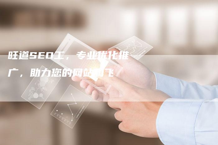 旺道SEO工，专业优化推广，助力您的网站腾飞