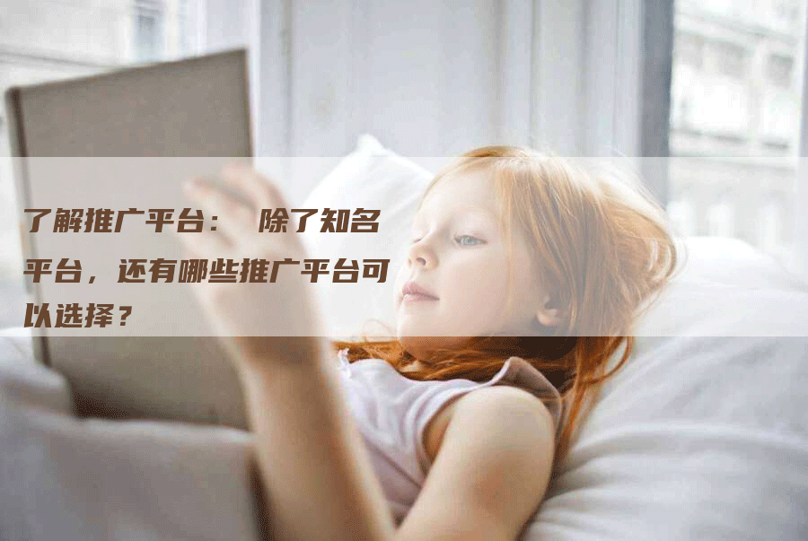 了解推广平台： 除了知名平台，还有哪些推广平台可以选择？