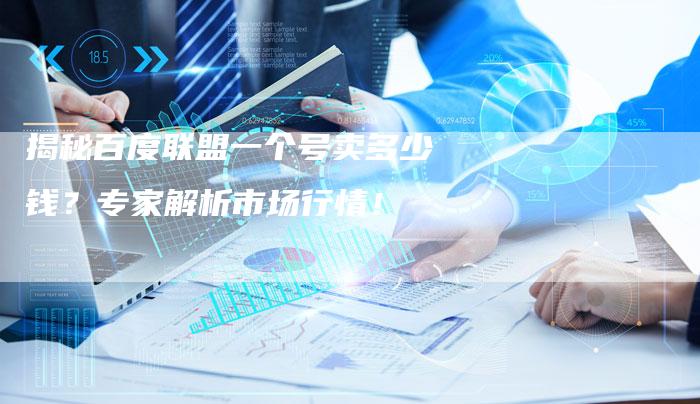 揭秘百度联盟一个号卖多少钱？专家解析市场行情！