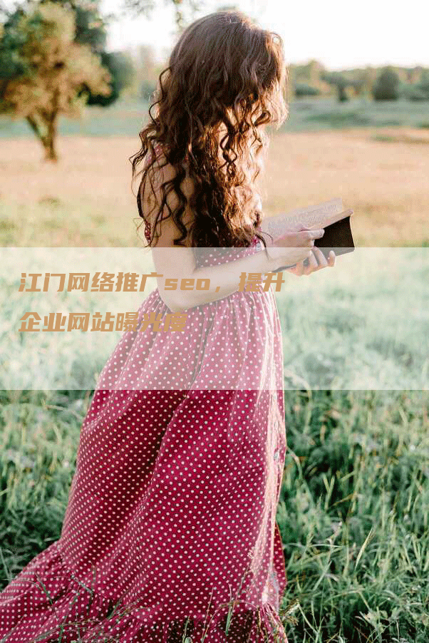 江门网络推广seo，提升企业网站曝光度