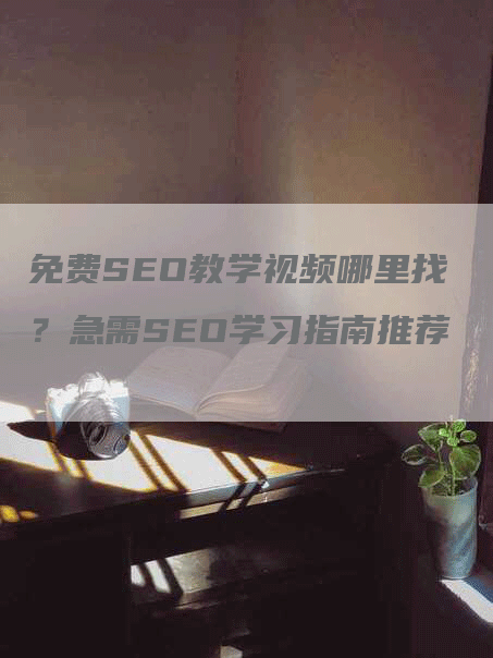 免费SEO教学视频哪里找？急需SEO学习指南推荐