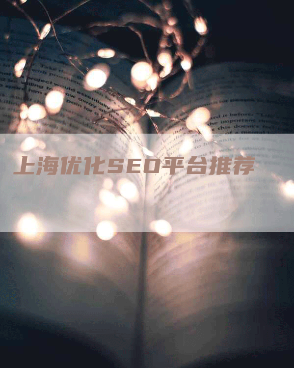 上海优化SEO平台推荐