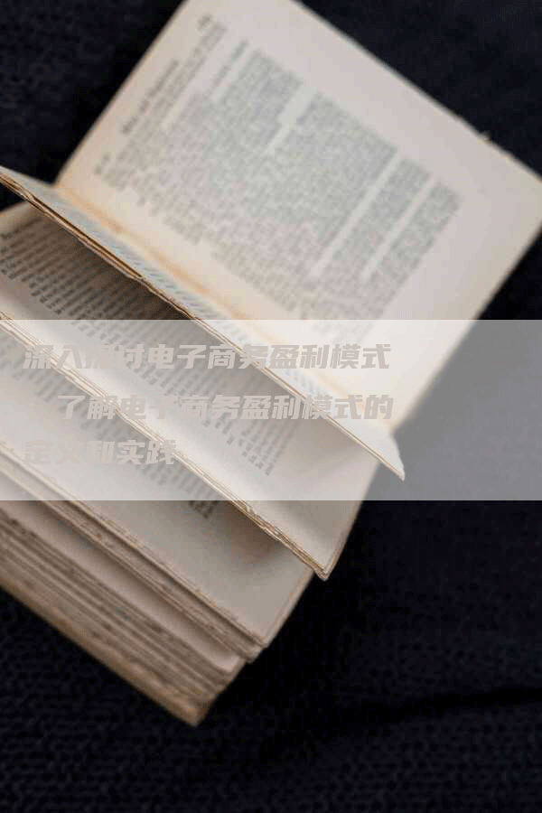 深入探讨电子商务盈利模式：了解电子商务盈利模式的定义和实践