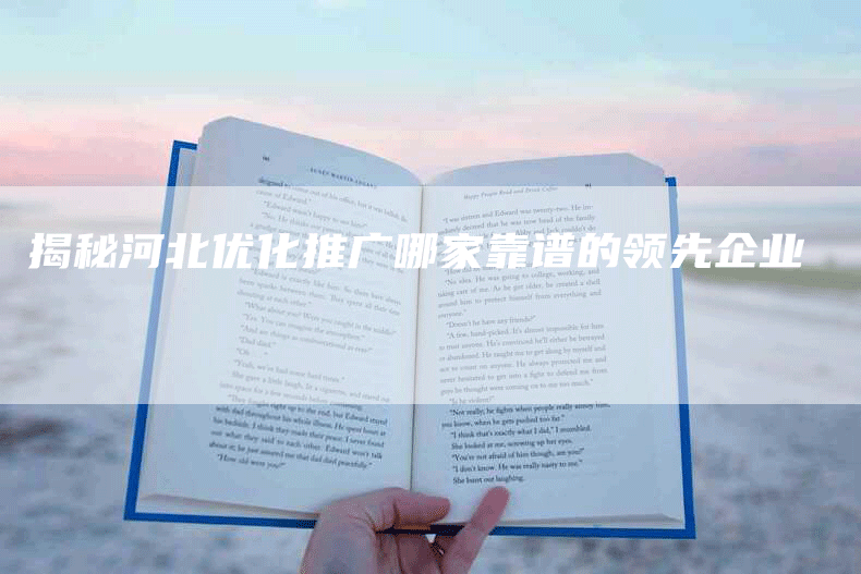 揭秘河北优化推广哪家靠谱的领先企业
