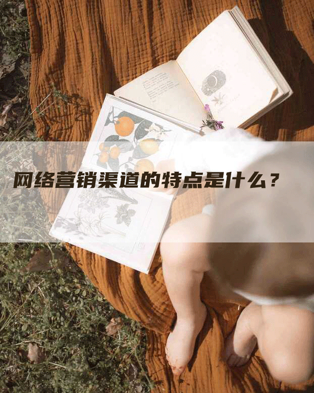 网络营销渠道的特点是什么？
