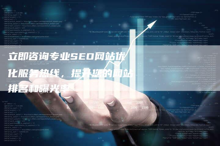 立即咨询专业SEO网站优化服务热线，提升您的网站排名和曝光率