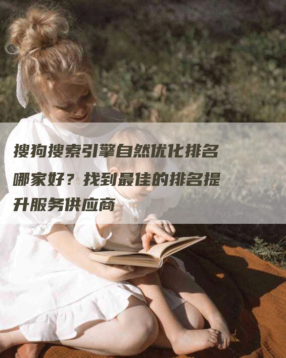 搜狗搜索引擎自然优化排名哪家好？找到最佳的排名提升服务供应商