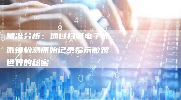 精准分析：通过扫描电子显微镜检测原始记录揭示微观世界的秘密