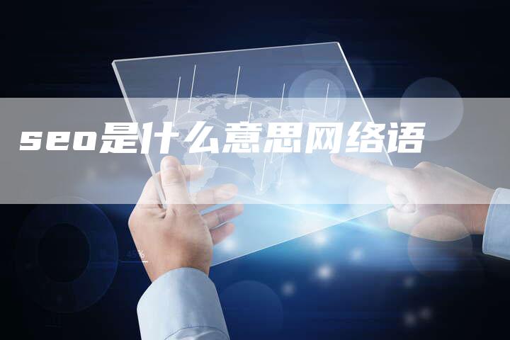 seo是什么意思网络语