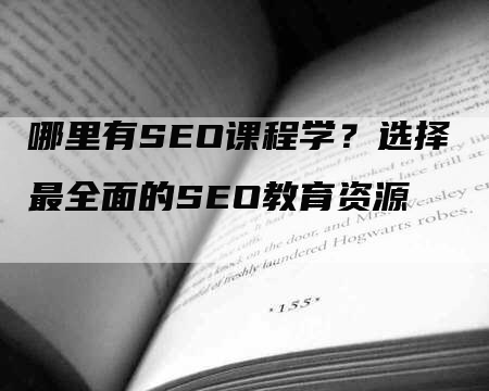 哪里有SEO课程学？选择最全面的SEO教育资源