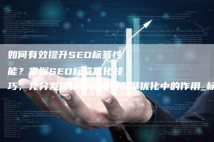 如何有效提升SEO标签性能？掌握SEO标签优化技巧，充分发挥标签在搜索引擎优化中的作用_标签优化策略