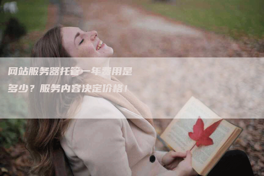 网站服务器托管一年费用是多少？服务内容决定价格！