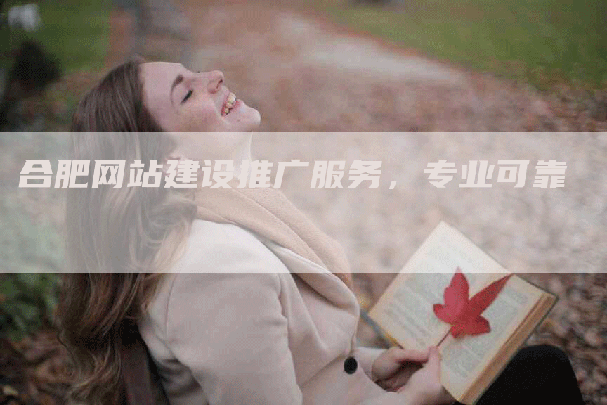 合肥网站建设推广服务，专业可靠