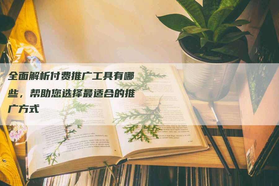 全面解析付费推广工具有哪些，帮助您选择最适合的推广方式