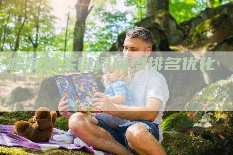 哈尔滨关键词网络排名优化