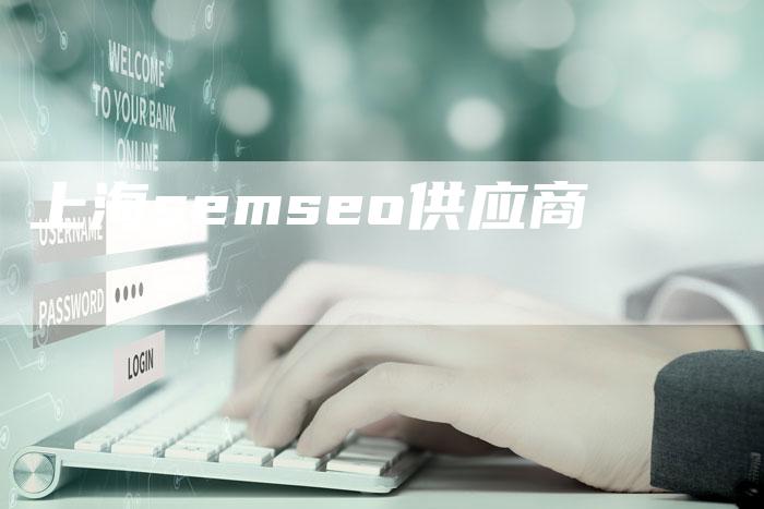 上海semseo供应商