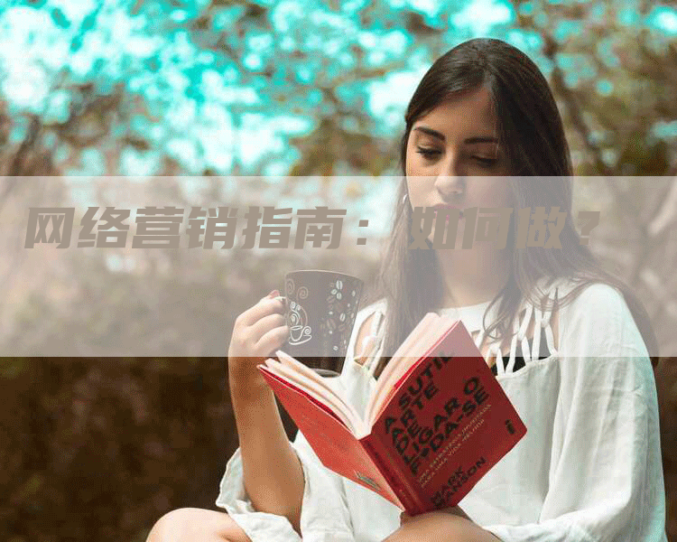网络营销指南：如何做？