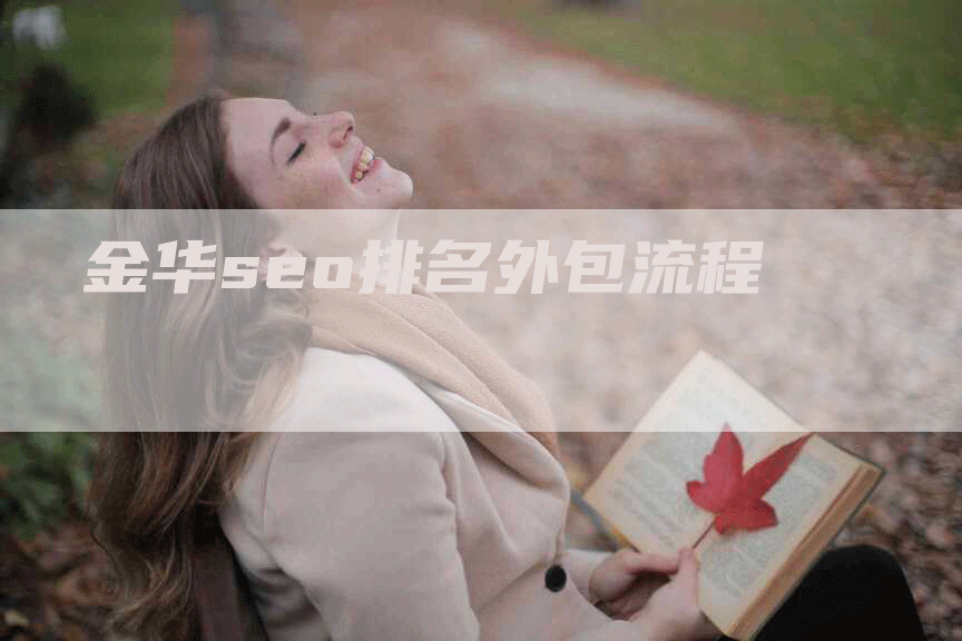 金华seo排名外包流程