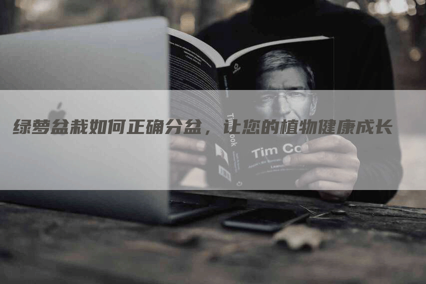 绿萝盆栽如何正确分盆，让您的植物健康成长